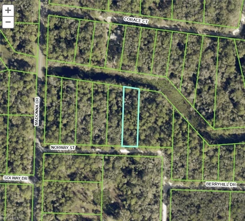 0.55 Acres of Land for Sale in WEBSTER, FL - Webster, Florida, 33597