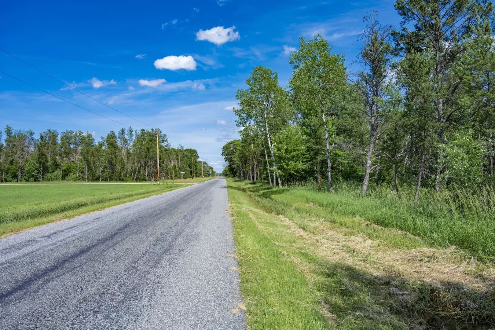10 Acres of Land for Sale in Necedah, Wisconsin - Necedah, Wisconsin, 54646