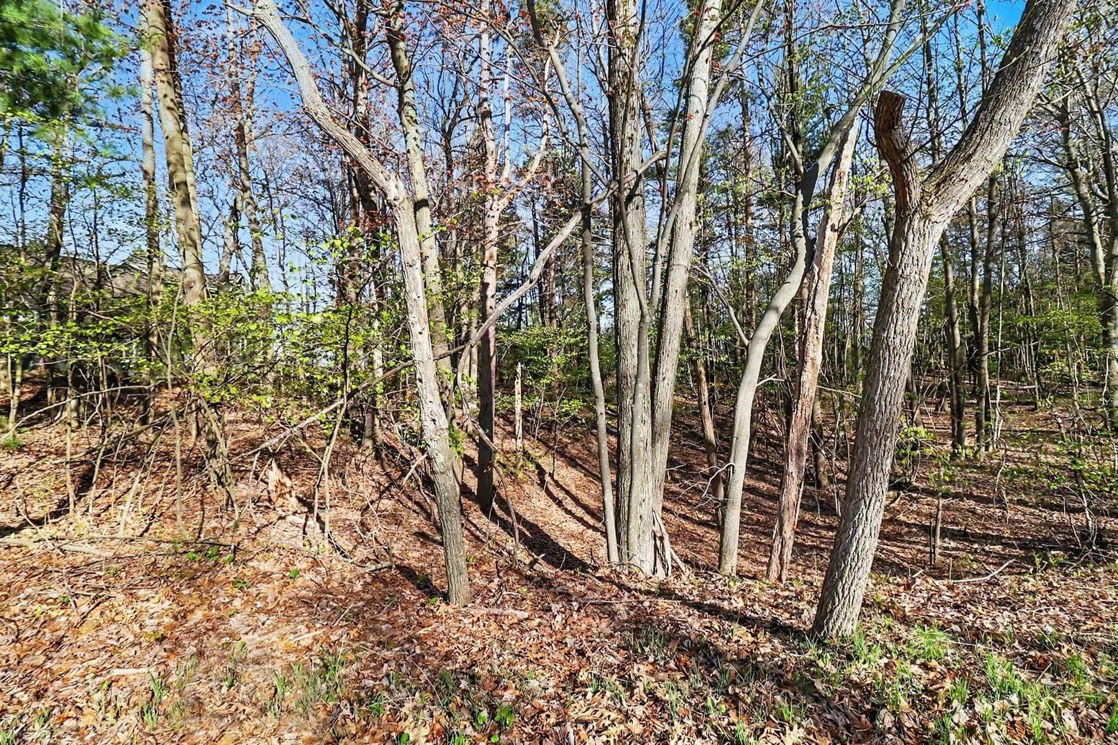 Vacant Land in Mears - Mears, Michigan, 49436