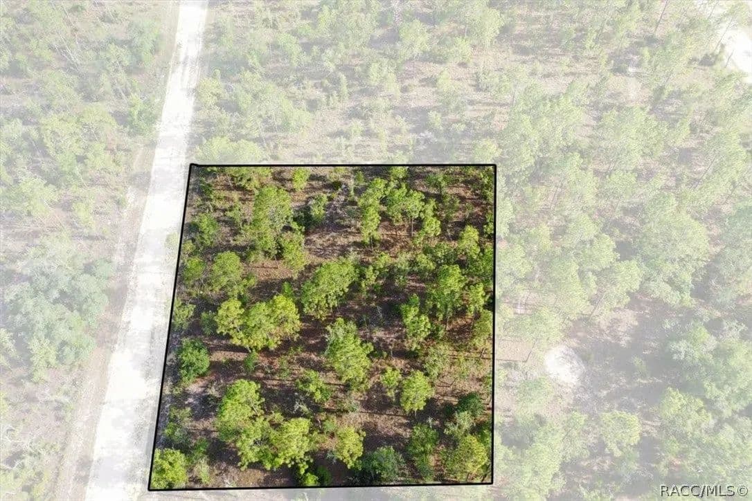 Lots & Land-Other in Williston - Williston, Florida, 32696