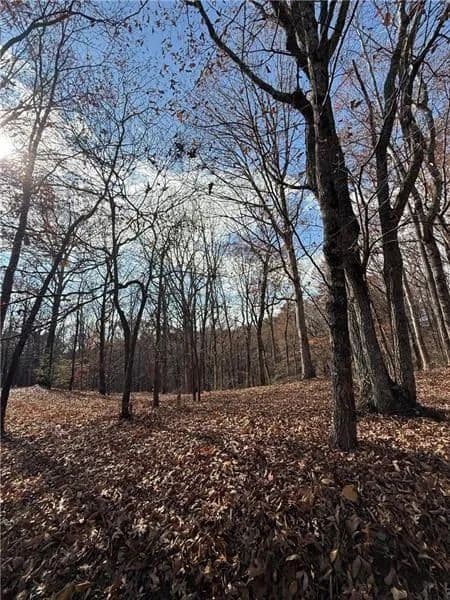 Property from 0 Orchard Road - KW - Jasper, Georgia, 30143