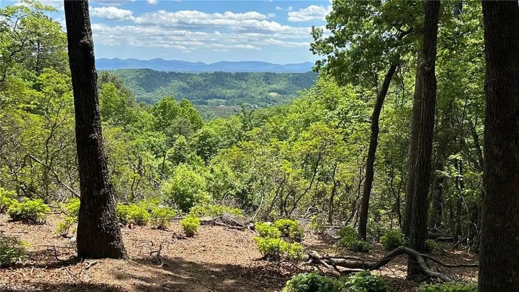 Property from T23 Widow Mountain Drive - KW - Hays, North Carolina, 28635