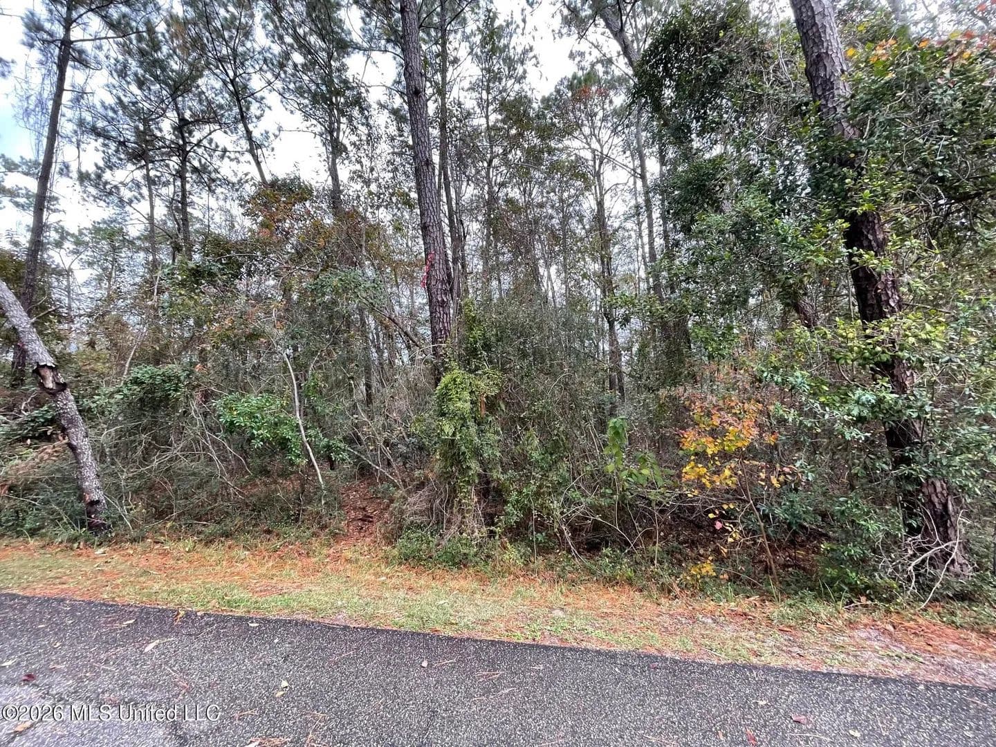 0.25 Acres of Land for Sale in Diamondhead, Mississippi - Diamondhead, Mississippi, 39525
