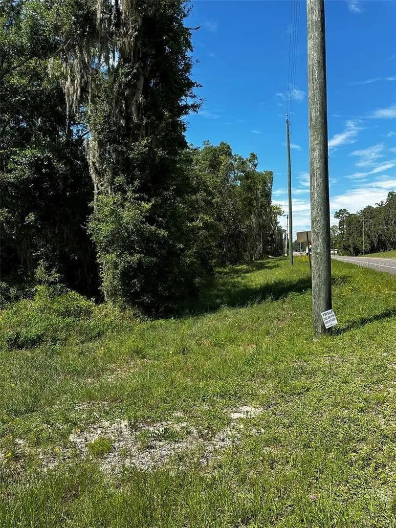 Property from THRASHER DR - KW - Bronson, Florida, 32621