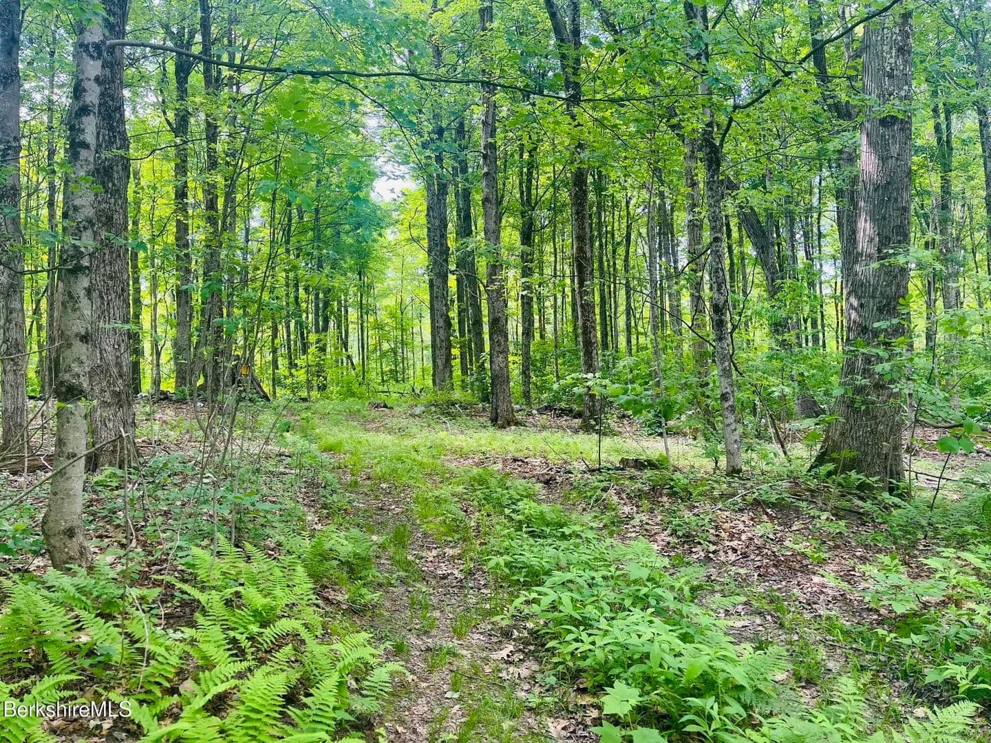 Property from Lot 0 Greylock Estates Rd - KW - Lanesborough, Massachusetts, 1237