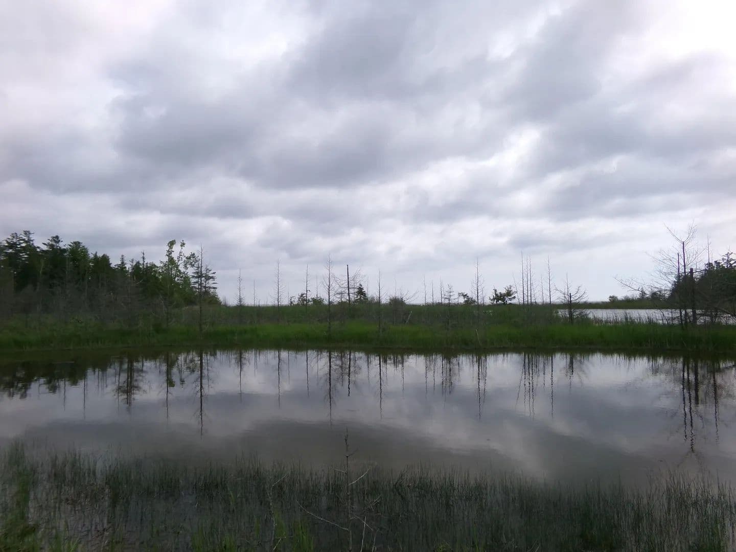 Property from 3305 El Cajon Beach Road - KW - Alpena, Michigan, 49707