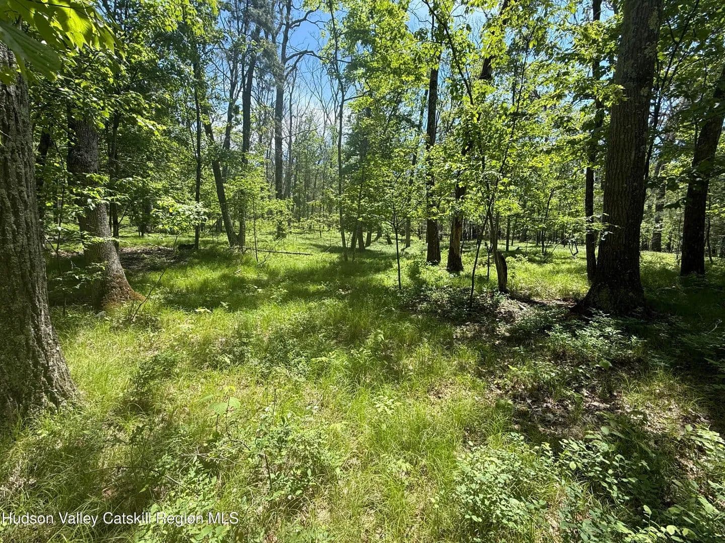 Property from 338 Mossy Hill Road - KW - Catskill, New York, 12414