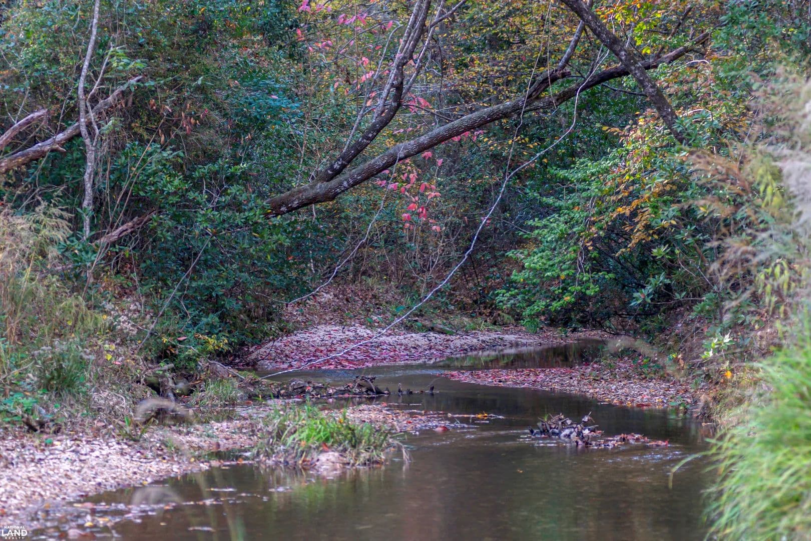 Brookhaven Deer, Turkey & Timber - Brookhaven, Mississippi, 39601
