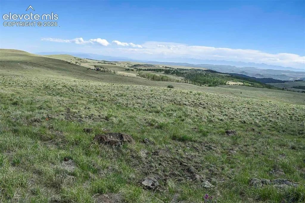 40 Acres of Land for Sale in Guffey, CO - Guffey, Colorado, 80820