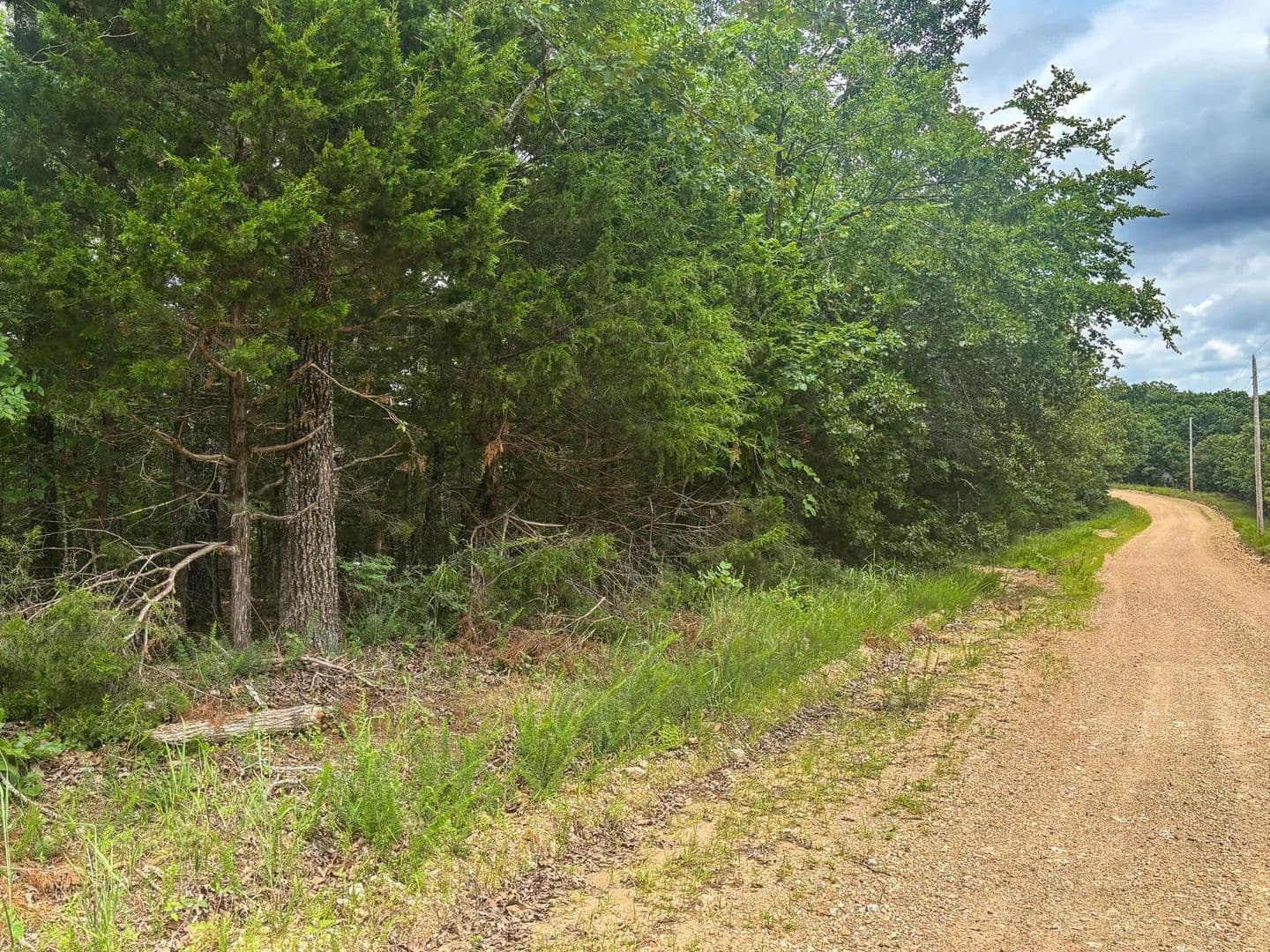 24 Acres of Land for Sale in Gainesville, MO - Gainesville, Missouri, 65655