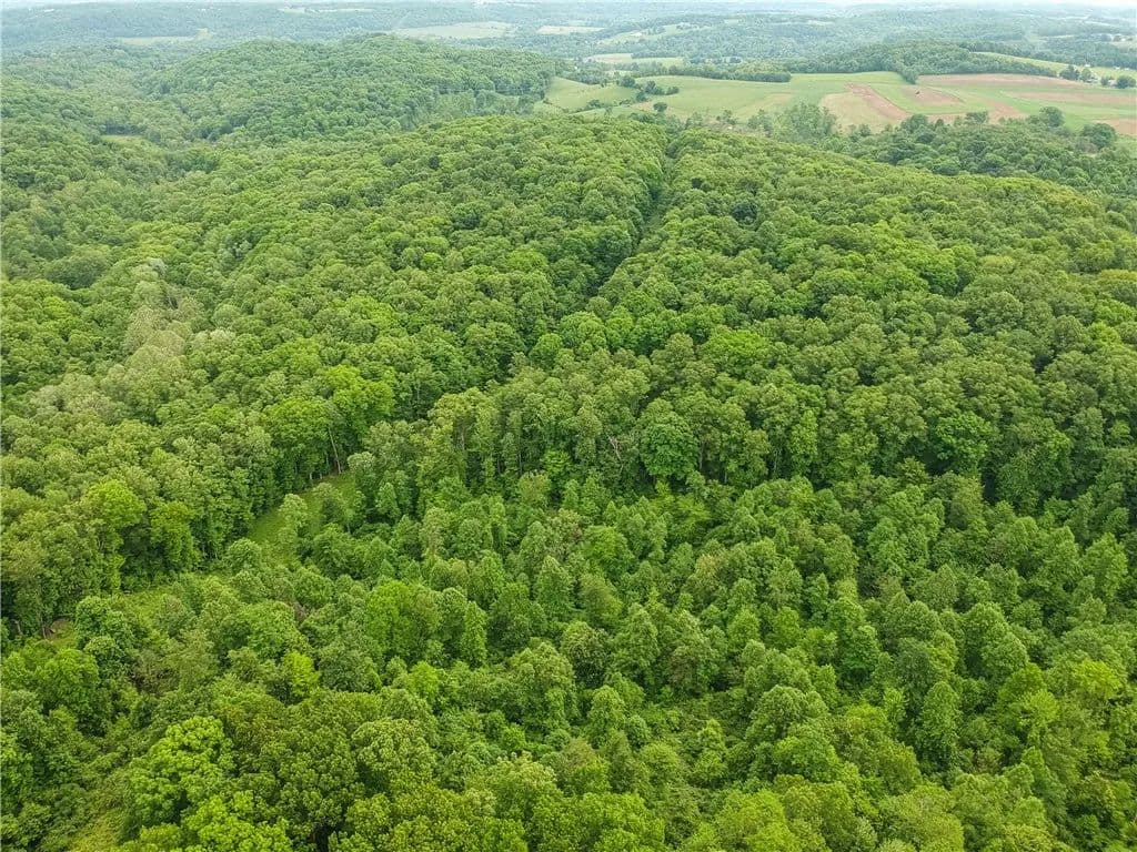 Property from 218 Collins Rd - KW - , Pennsylvania, 16117
