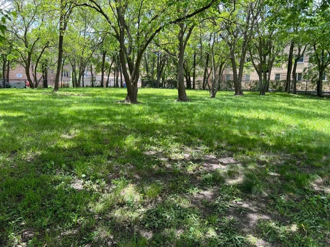 Land for Sale in Chicago, Illinois - Chicago, Illinois, 60649