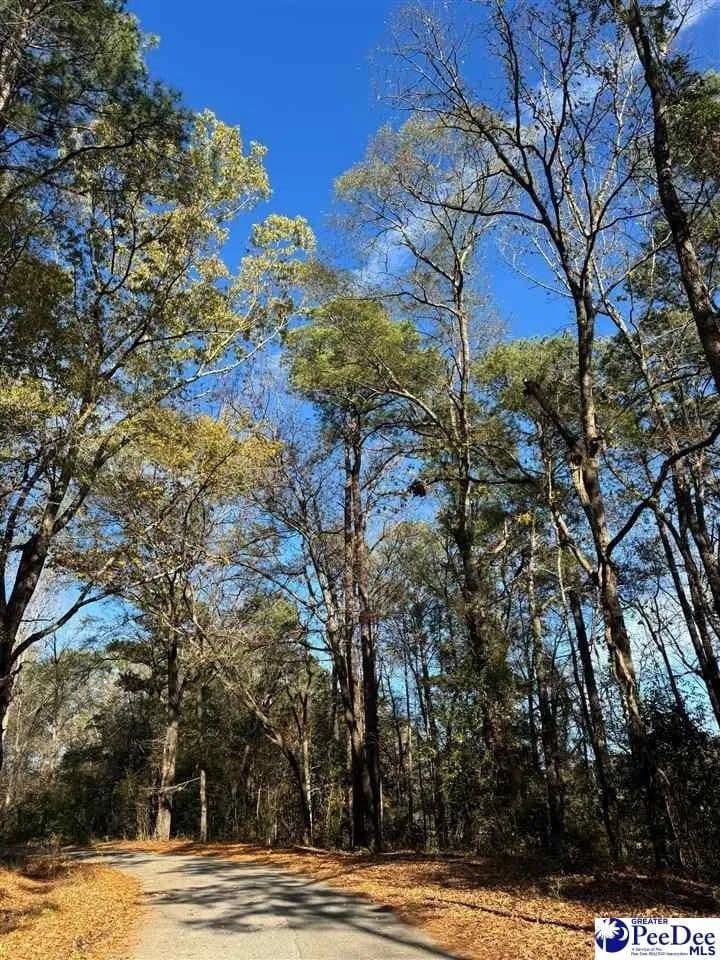 Lots & Land-Other in Society Hill