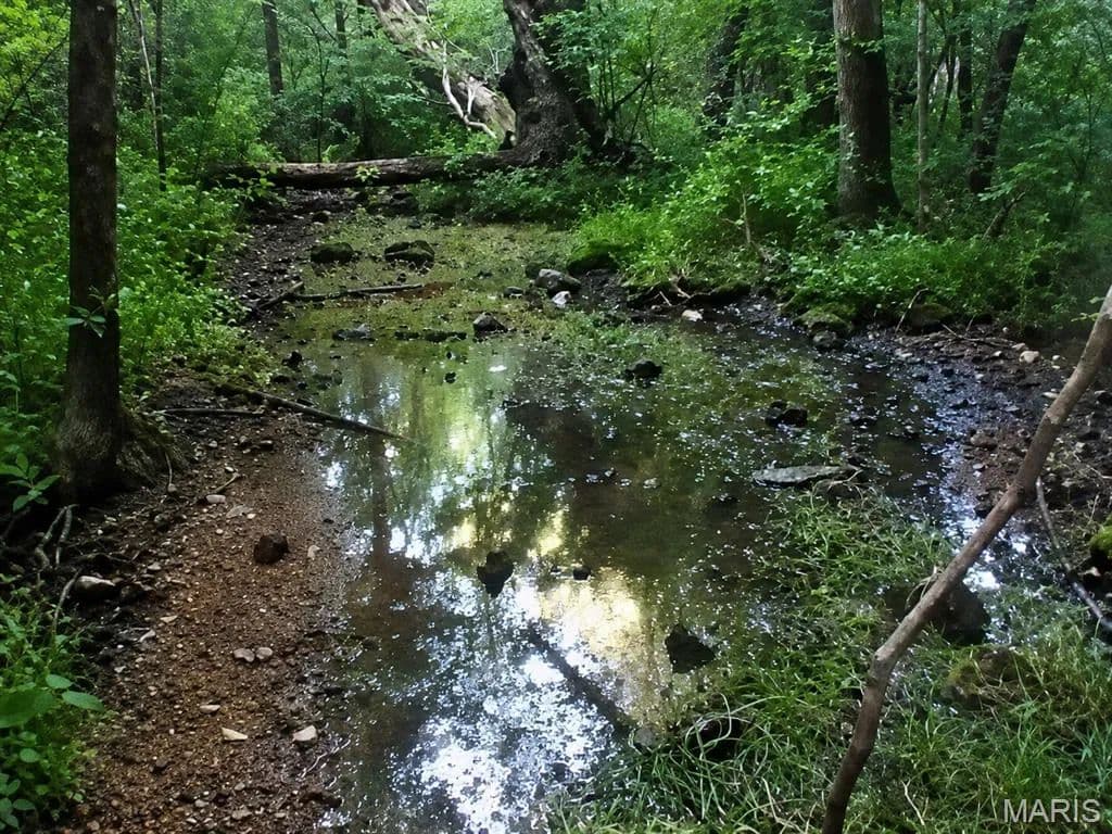 Property from 00 County Road 5 - KW - Viburnum, Missouri, 65566