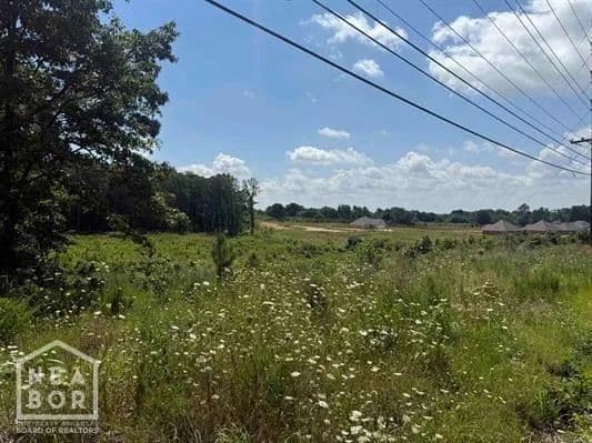 3.98 Acres of Land for Sale in Paragould, Arkansas - Paragould, Arkansas, 72450