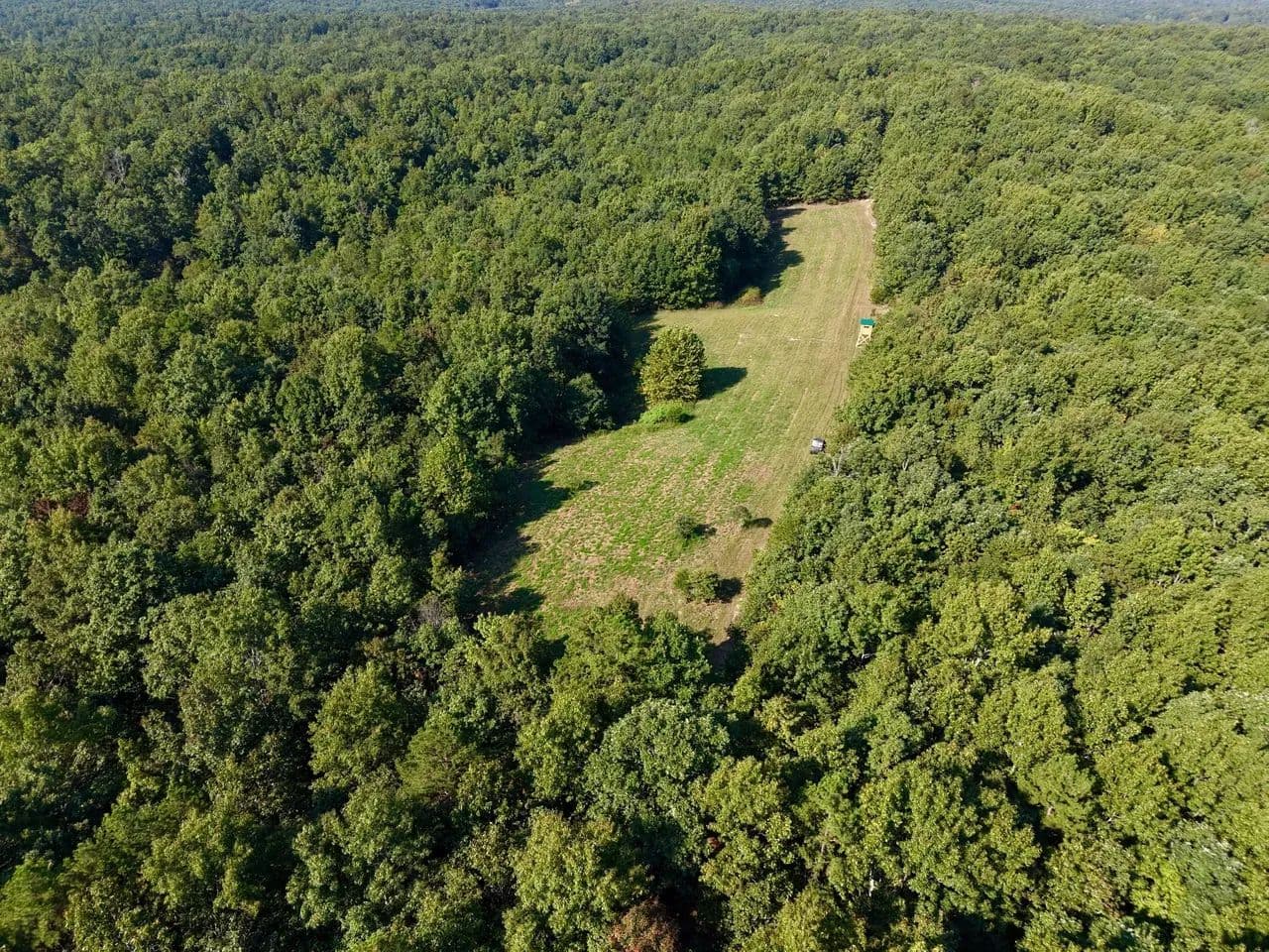 150±AC of Recreational & Timberland in Reynolds Co. - Ellington, Missouri, 63638