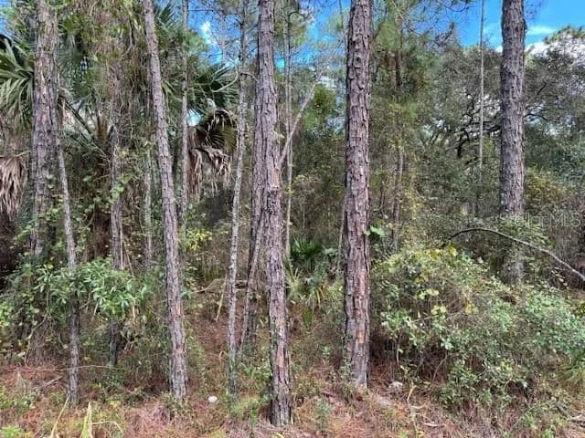 Vacant Land in Deland