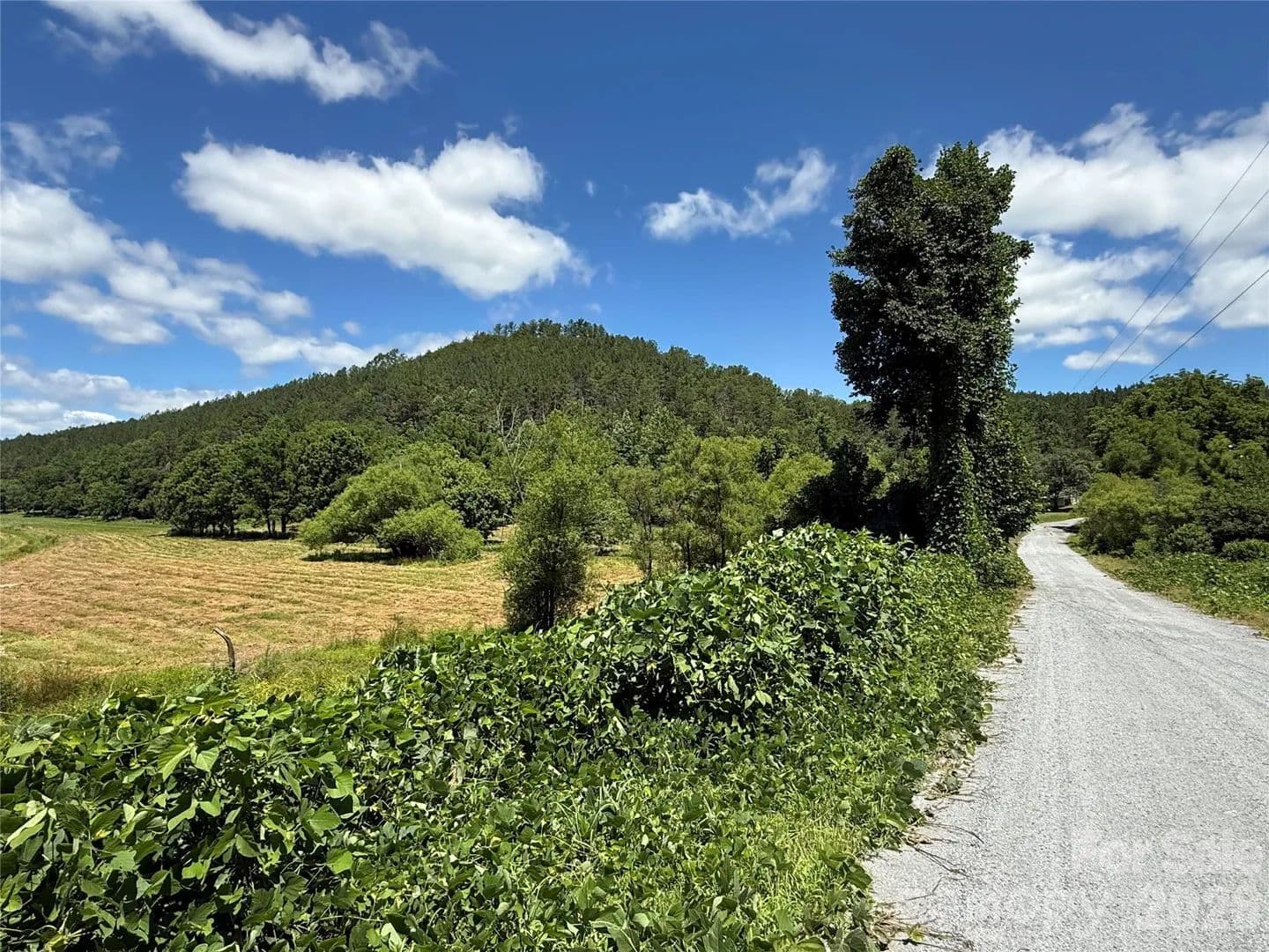 651.55 Acres of Land for Sale in Rutherfordton, NC - Rutherfordton, North Carolina, 28139