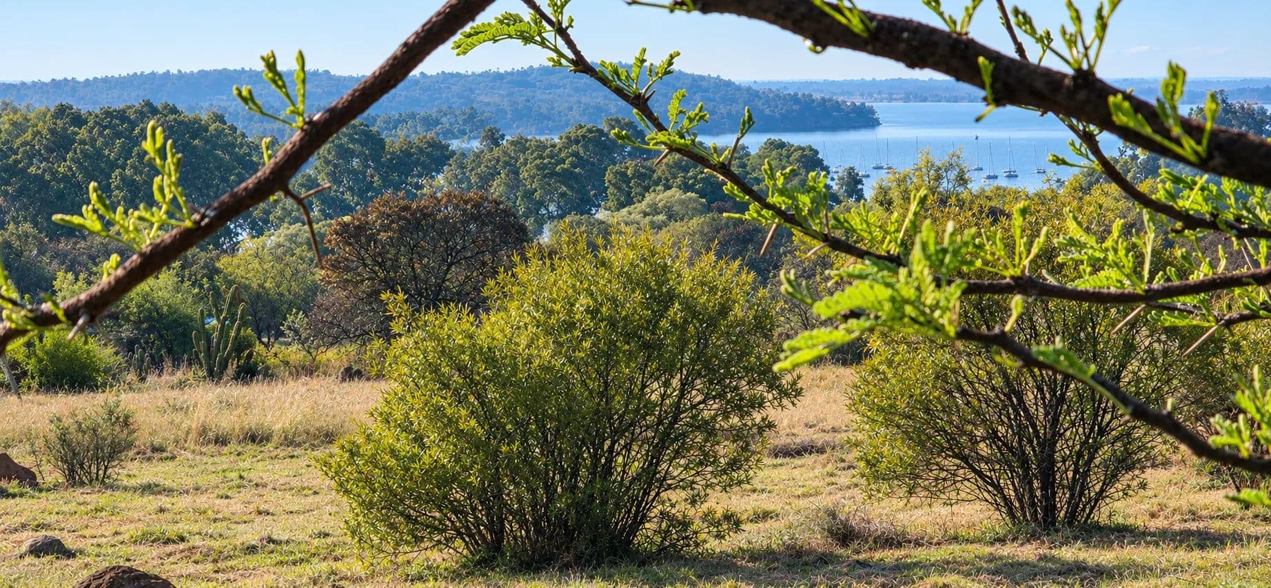 1380 Acres of Land for Sale in Vaal Marina, Gauteng - land for sale