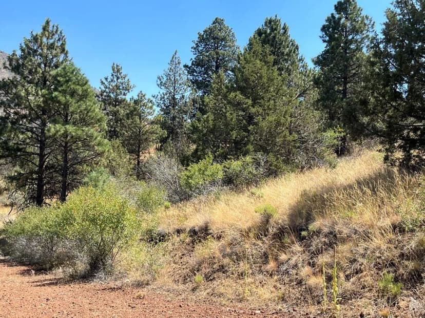 Lots & Land-Other in Klamath Falls