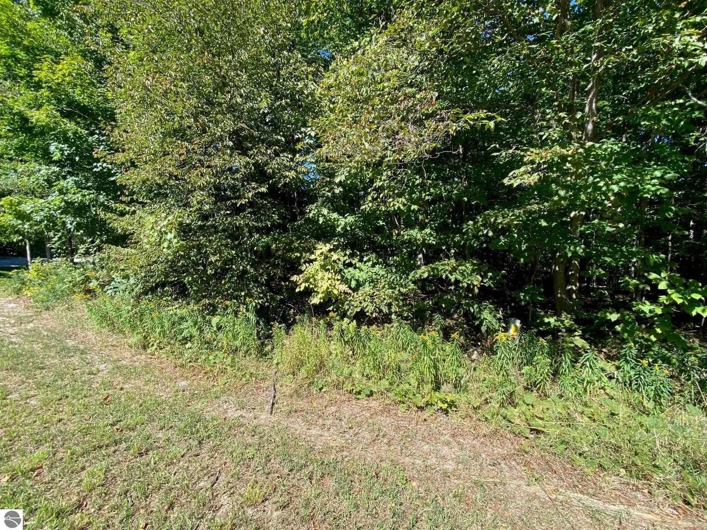 Property from Lot 130 E Sugar Maple Drive - KW - Cedar, Michigan, 49621