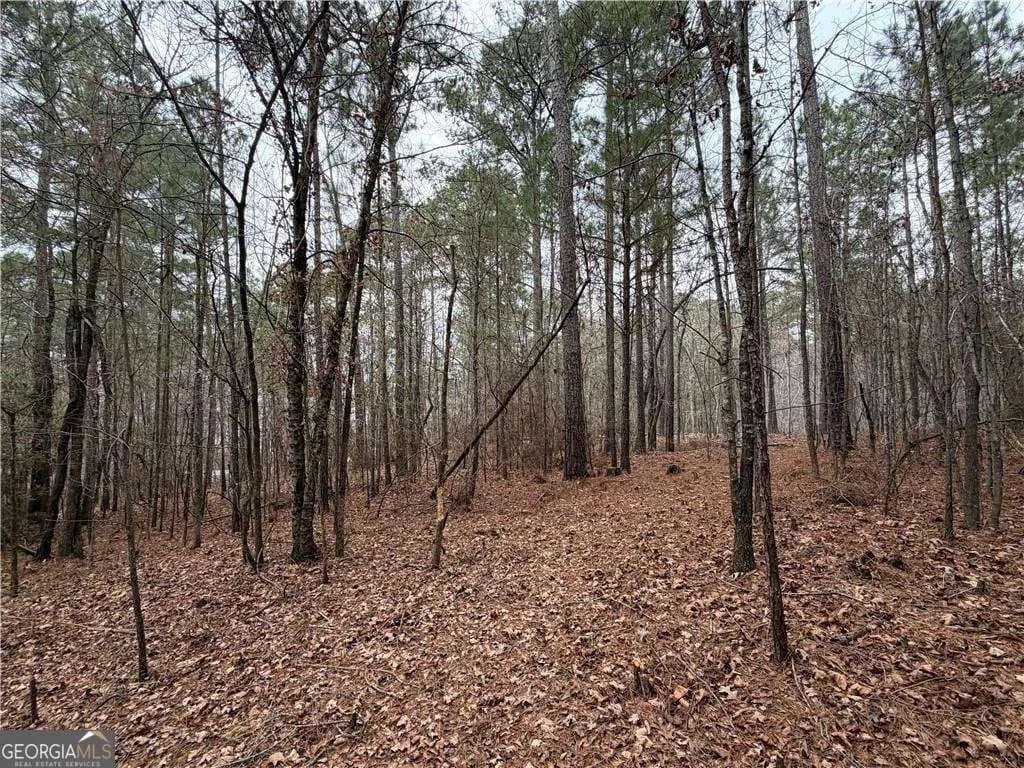 Property from 1700 Northwoods Drive - KW - Greensboro, Georgia, 30642