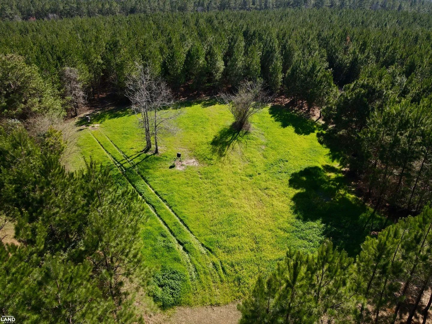 Pine Barren Creek Highway 10 Greenville Tract - Greenville, Alabama, 36037