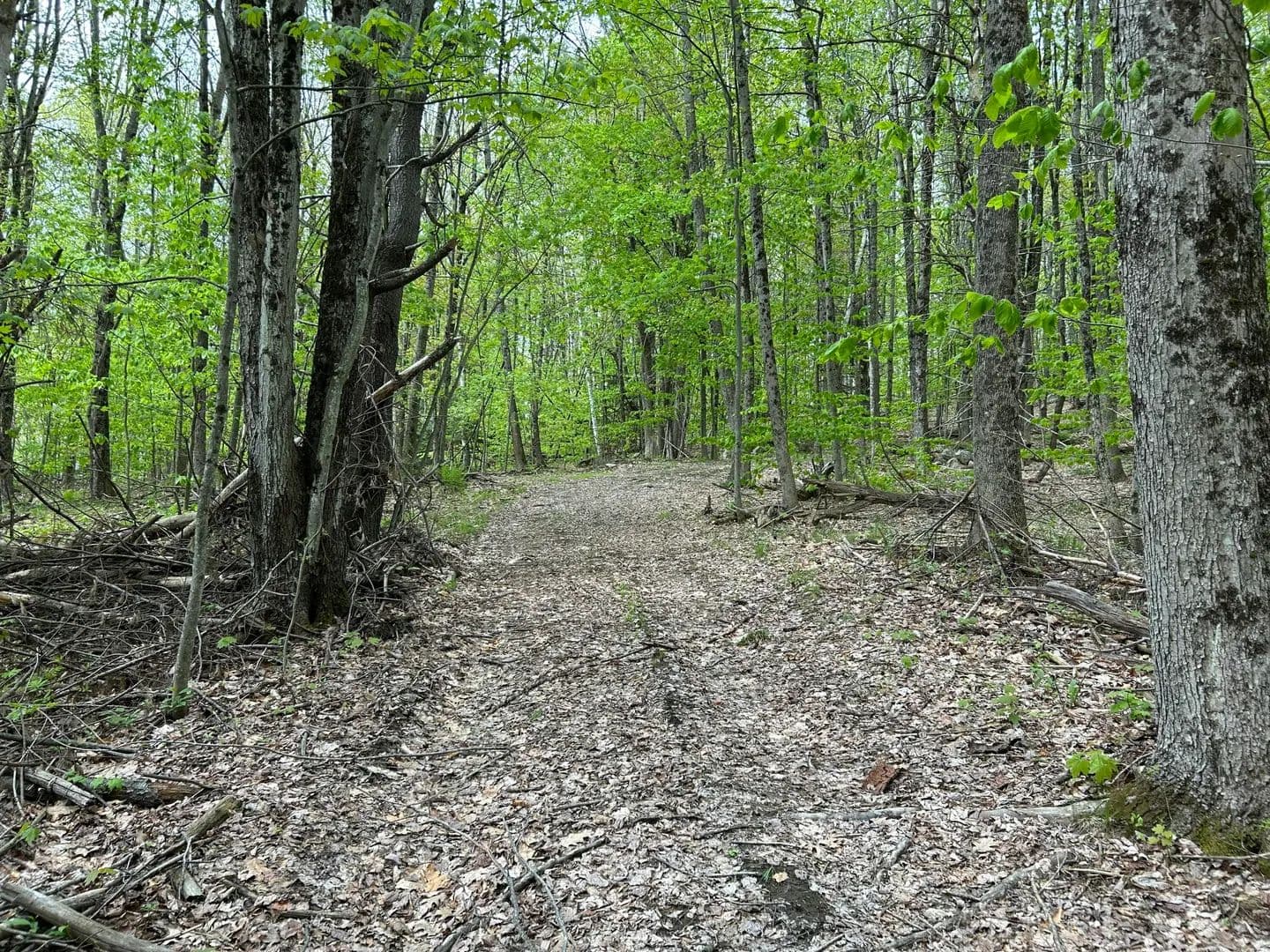 Property from 281 Randall Road - KW - Lewiston, Maine, 4240
