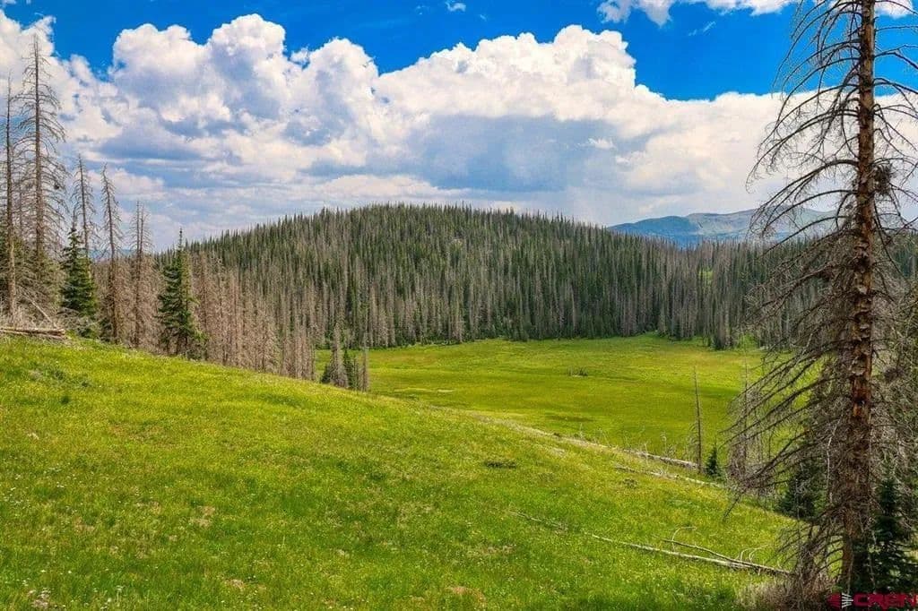 Property from TBD Stunner Pass - KW - Antonito, Colorado, 81120