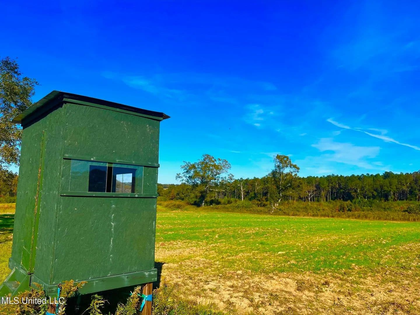 76.5 acres near Sandy Hook, Mississippi in Sandy Hook, Mississippi - photo 2
