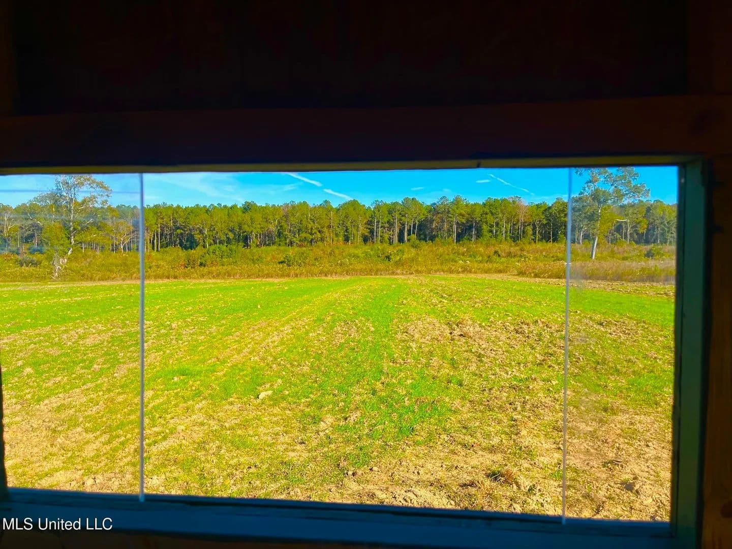 76.5 acres near Sandy Hook, Mississippi in Sandy Hook, Mississippi - photo 4