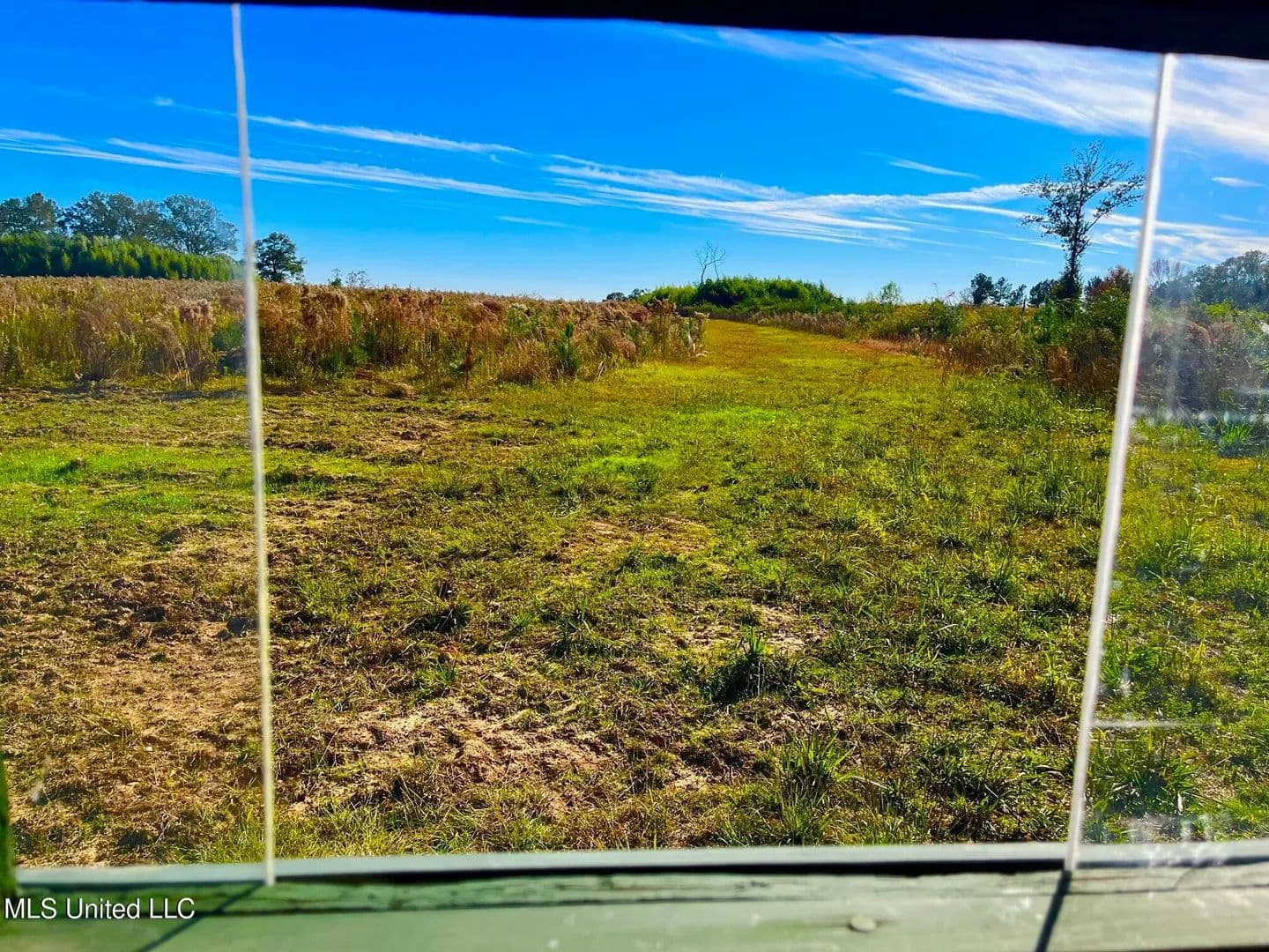 76.5 acres near Sandy Hook, Mississippi in Sandy Hook, Mississippi - photo 5