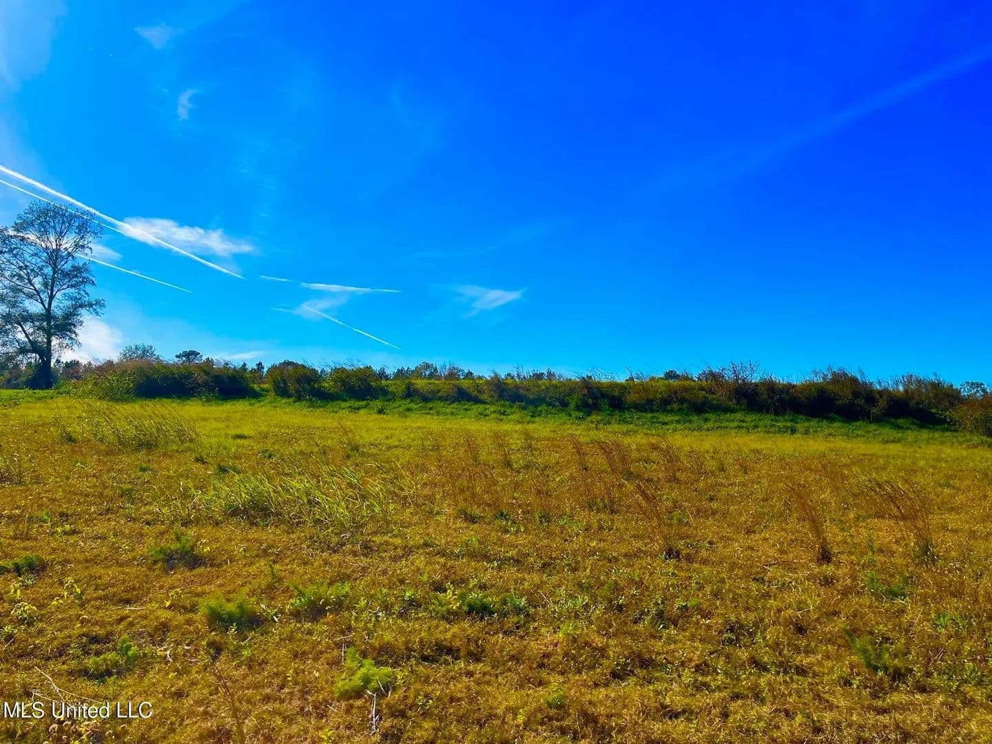 76.5 acres near Sandy Hook, Mississippi in Sandy Hook, Mississippi - photo 8