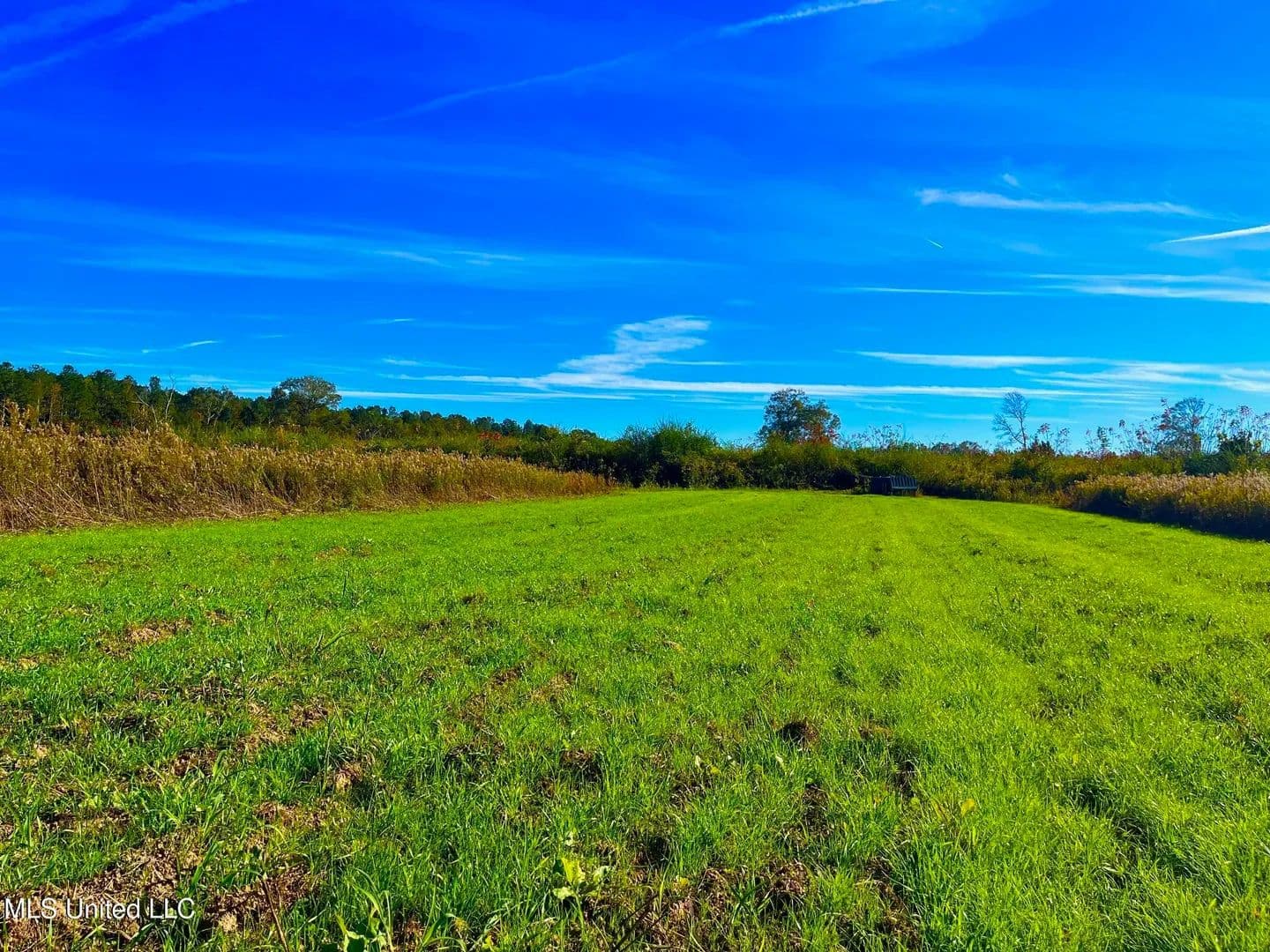 76.5 acres near Sandy Hook, Mississippi in Sandy Hook, Mississippi - photo 19