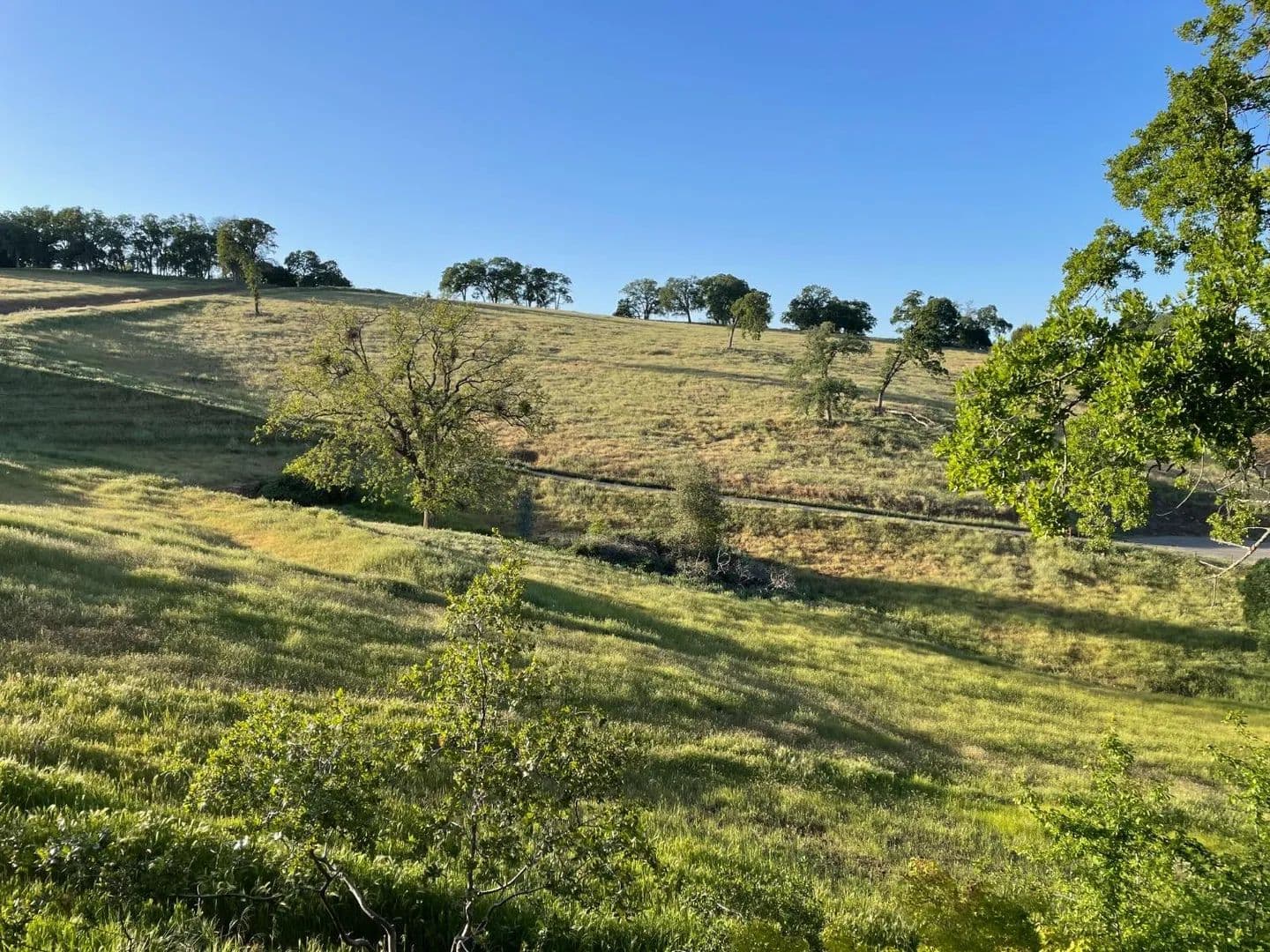 Property from 52 David Drive #C - KW - Sutter Creek, California, 95685