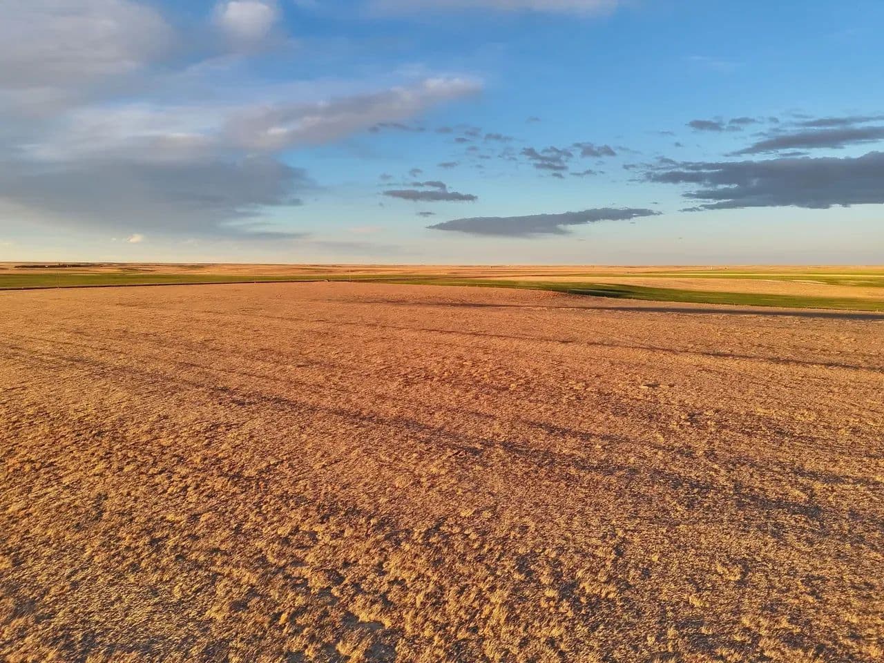 Large Quarter of Expired CRP & Good Soils - land for sale