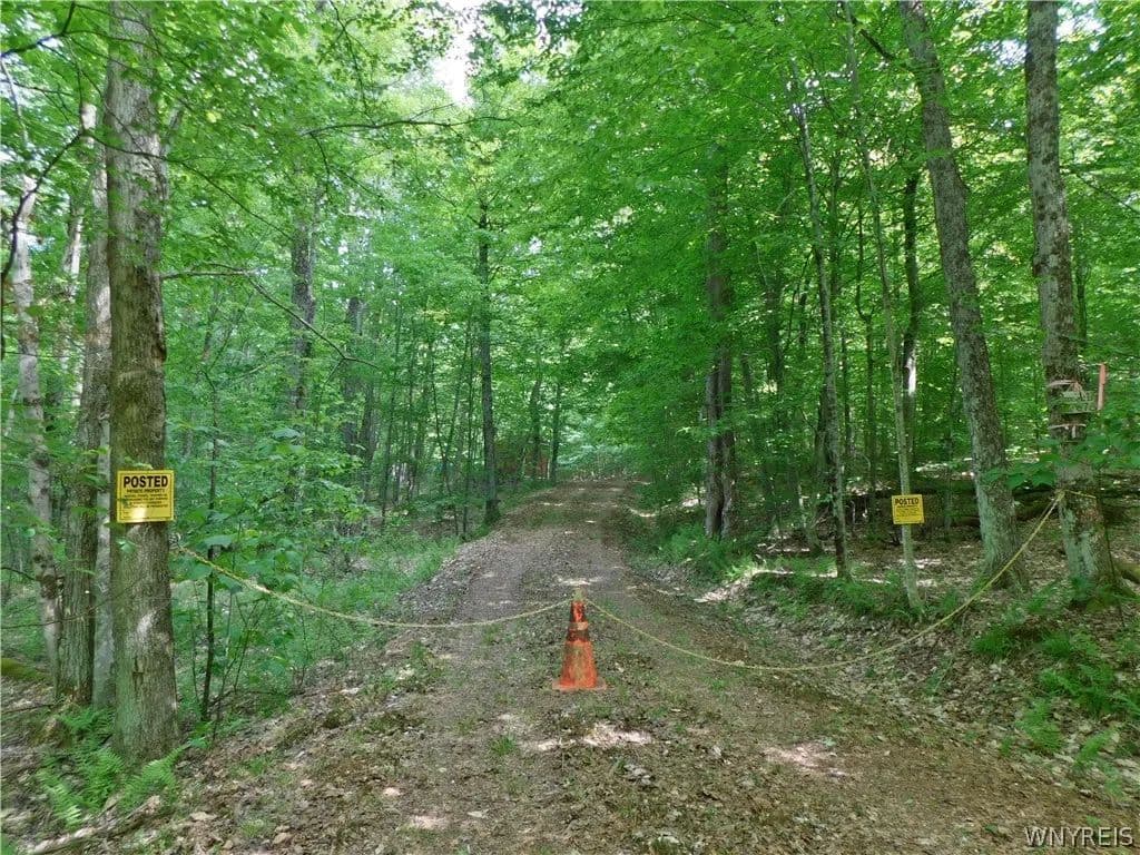 Property from Cr-1 - KW - Friendship, New York, 14739
