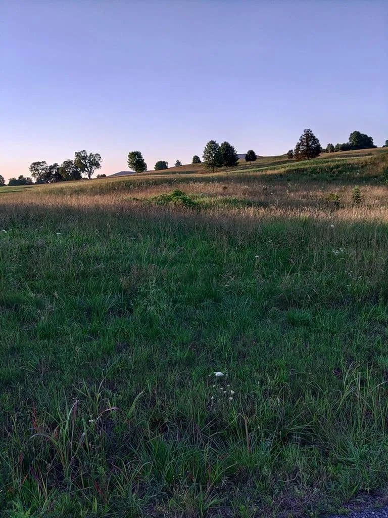 0.69 Acres of Land for Sale in McMinnville, Tennessee - McMinnville, Tennessee, 37110