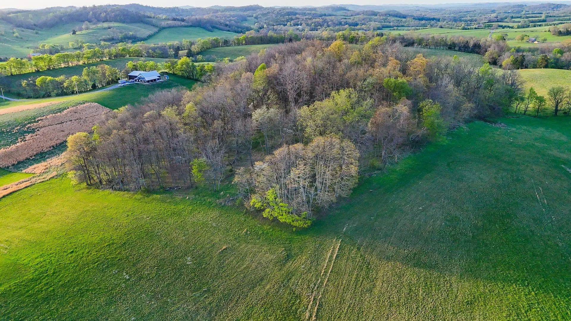 Vacant Land in Shelbyville - Shelbyville, Tennessee, 37160
