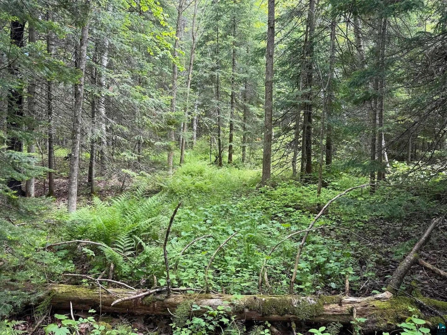 2 Acres of Land for Sale in Cornucopia, Wisconsin - land for sale