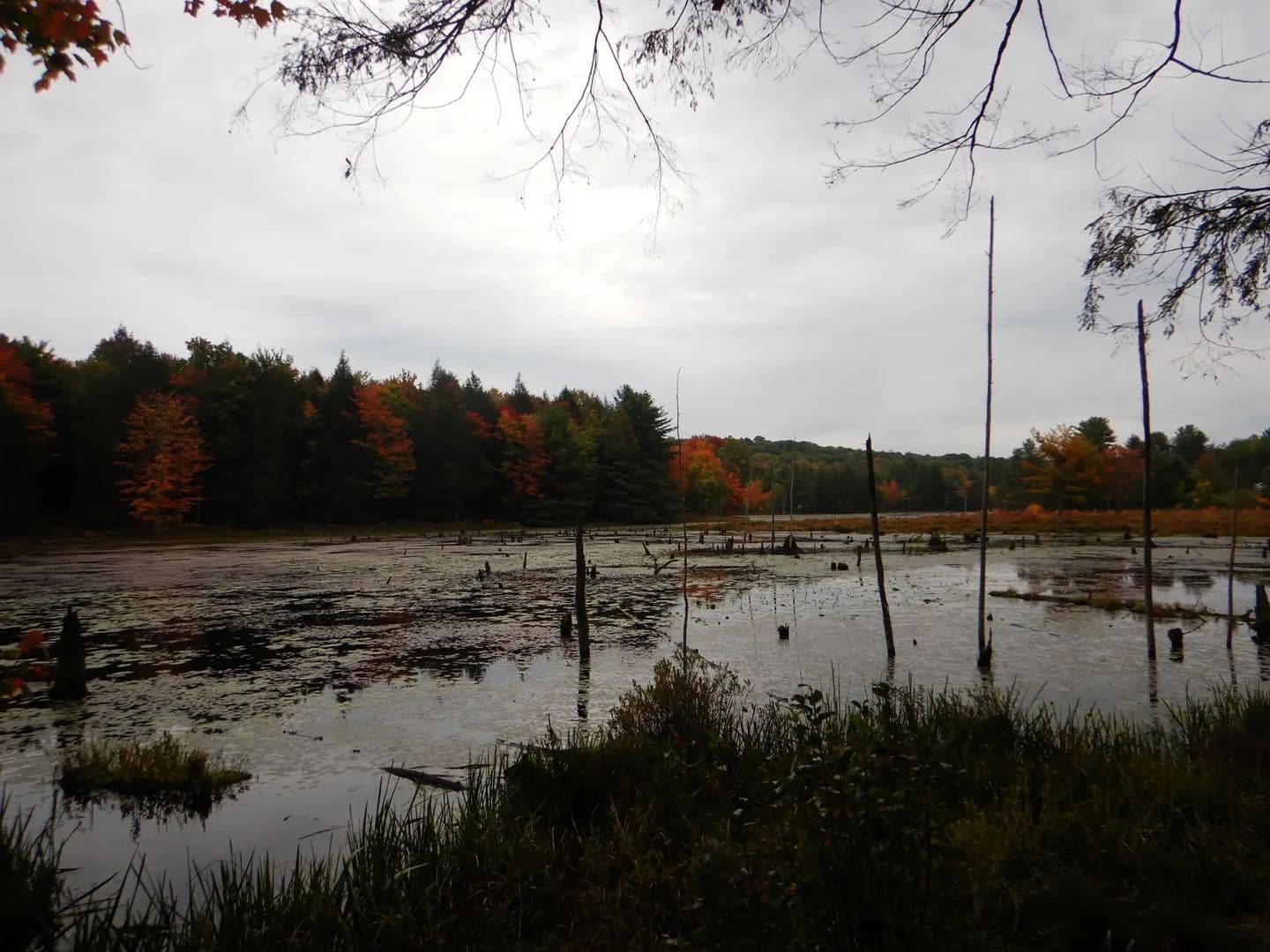 Tuscarora - land for sale
