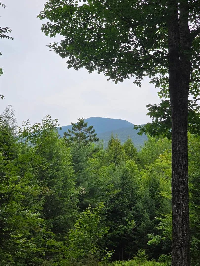 8.85 Acres of Land for Sale in Warren, NH - land for sale