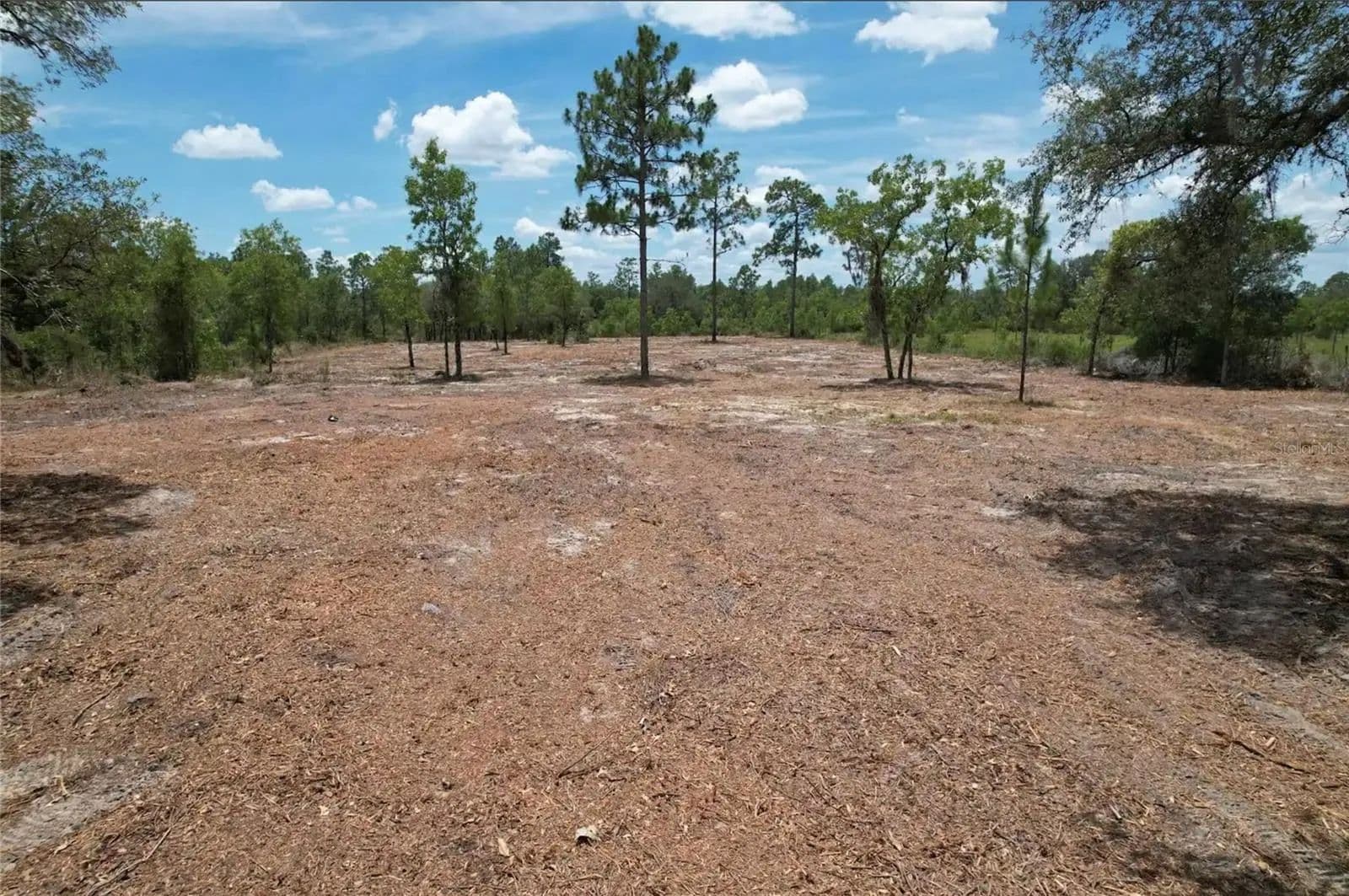2.5 Acres of Land for Sale in BRONSON, FL - Bronson, Florida, 32621