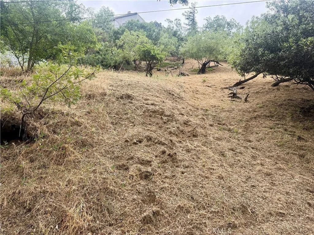 Lots & Land-Other in Los Angeles - Los Angeles, California, 90065