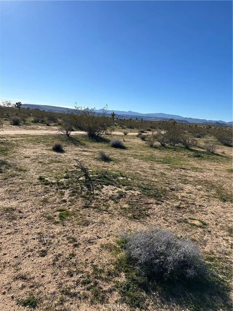 5 Acres of Land for Sale in Landers, California - Landers, California, 92285