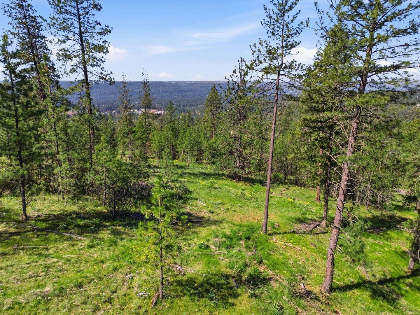 Property from NKA Weaver Way - KW - Deer Park, Washington, 99006