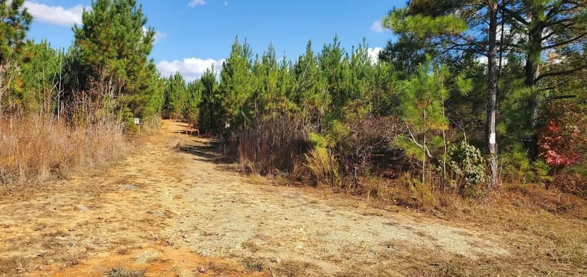 142+/- Acres - 420 Tuckertown Rd New London NC - Montgomery Co