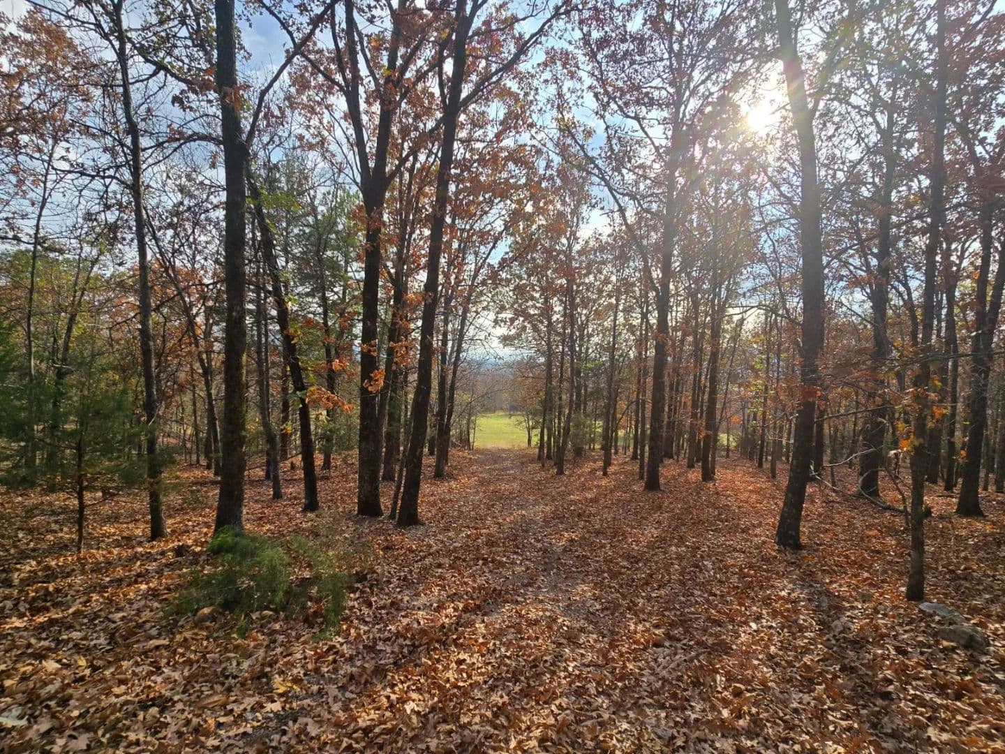 30 ACRES WITH SARDIS LAKE VIEW in Oklahoma - photo 3