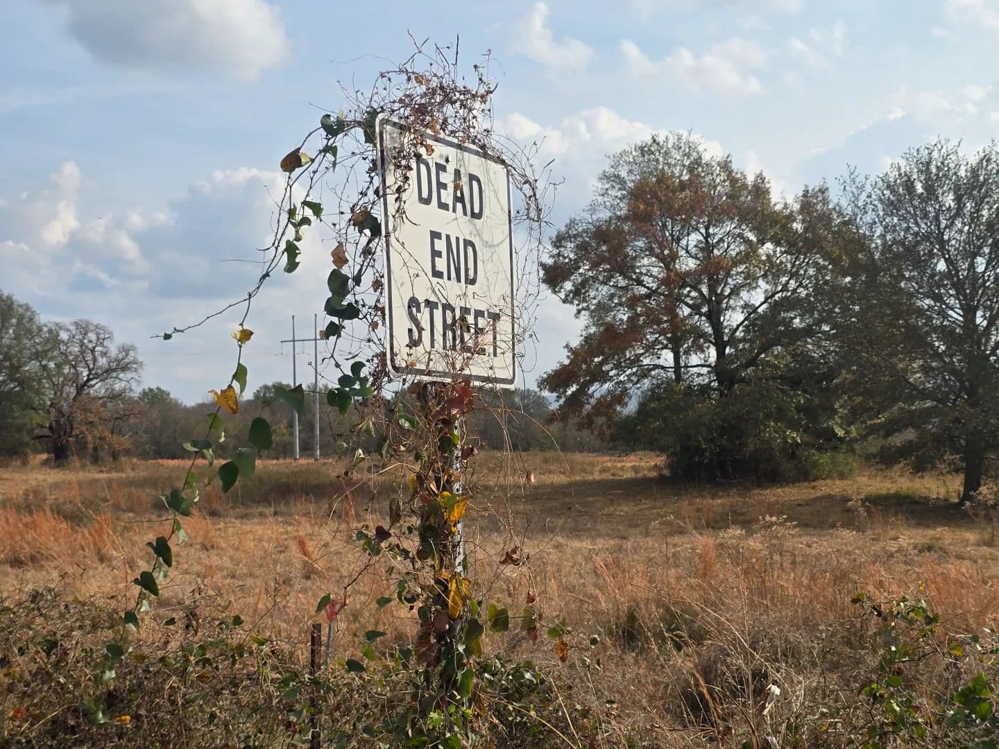30 ACRES WITH SARDIS LAKE VIEW in Oklahoma - photo 6