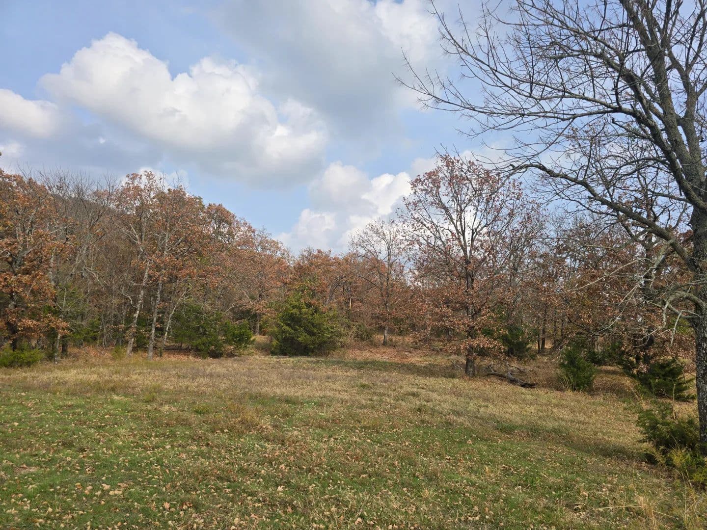 30 ACRES WITH SARDIS LAKE VIEW in Oklahoma - photo 12